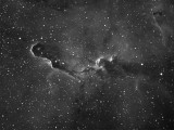 IC1396 - Elephants Trunk Nebula in Ha