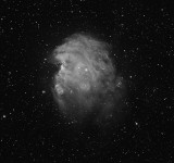 NGC2174 - Monkey Head Nebula in Ha