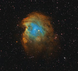 NGC2174 - Monkey Head Nebula in HST palette