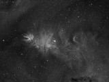 NGC2264 - Cone and Fox fur nebula and Christmas Tree Cluster