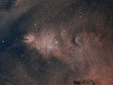 NGC2264 - Cone and Fox fur nebulae (Ha and OIII)
