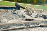 Oct. 06-09, 2011
