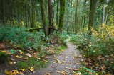 Hayward Lake Trail - October 2011