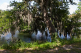 More City Park