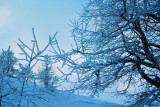 My Winter wonderland