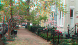 Old Town Alexandria