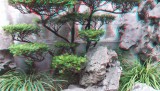 Yu Garden, Shanghai