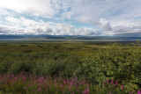Denali National Park