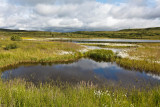Denali National Park
