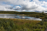 Denali National Park