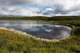 Denali National Park