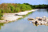 Everglades National Park, Tamiami Trail - National Scenic Byway, Florida