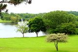 Grand Geneva Resort and Spa