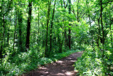 Big Foot Beach State Park, WI