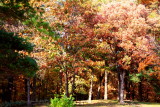 Fall Colors, Mirror Lake State Park, Wisconsin