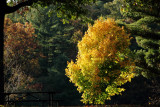 Mirror Lake State Park, Wisconsin