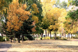 Hennepin Island Park, Minneapolis