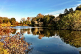Morton Arboretum - Marmo Lake