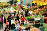 Flower Market, Mong Kok, Hong Kong