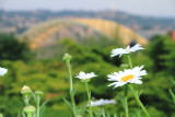Mt. Adams park, Cincinnati, Ohio