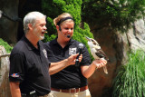 Cincinnati Zoo - Kookaburra