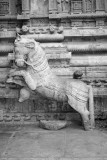 Horses steering the chariot in the front, Sculpture, Sarangapani Temple, Kumbakonam, India