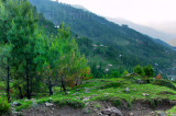 Village