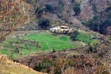 Fields
