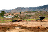 Village