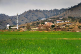 Village