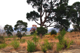 Village