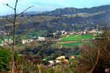 Village
