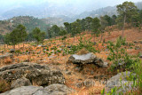 Mountainside