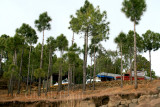 Houses