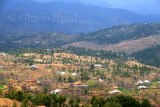 Village