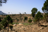 Village
