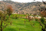 Khawas Village