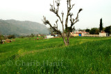 Village