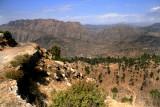 View from