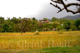 Village