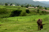 Village