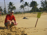 Toby w/ sea turtle