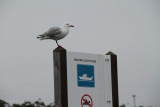 NSW