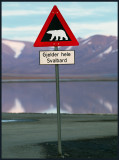 Allways bears around the corner??