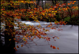 Stream near Arrochar