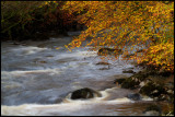 Autum colors near Inveraray