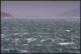 Gale at Jura sound