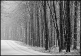 Road to Kopparhatten i Skäralid