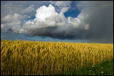 Heavy clouds over Pilekulla - land