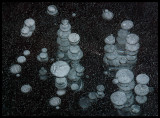 Airbubbles in frozen lake